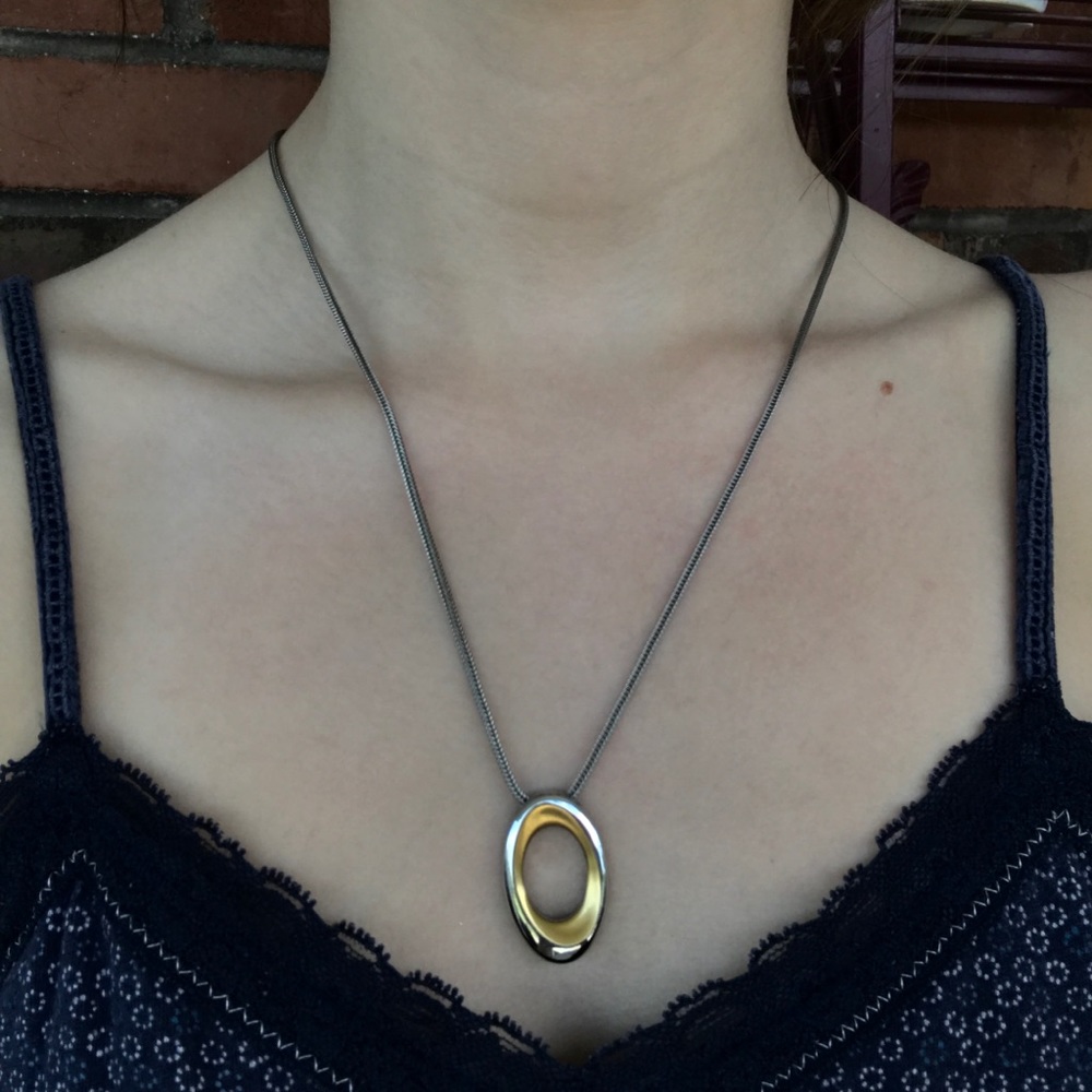 Interchangeable Skagen Necklace